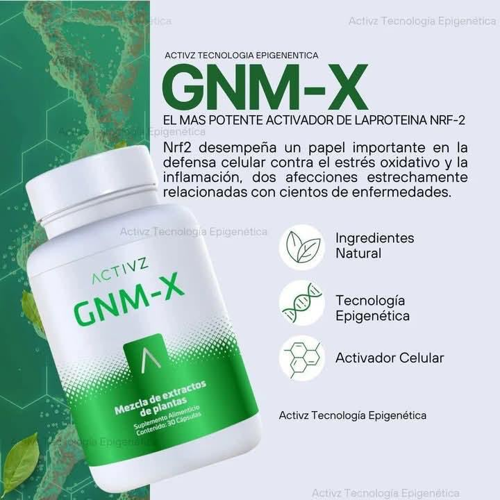 Activz GNM-X